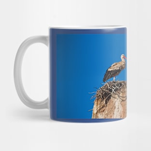 Morocco. Marrakech. Stork on the old wall of Medina. Mug